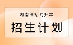 2023年湖南专升本考试招生计划汇总